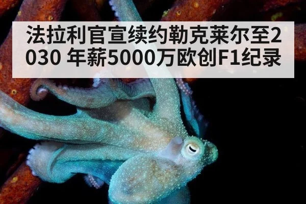 法拉利官宣续约勒克莱尔至2030 年薪5000万欧创F1纪录
